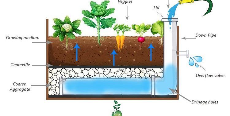 🌿 Permaculture | Build a full Wicking bed for 60€