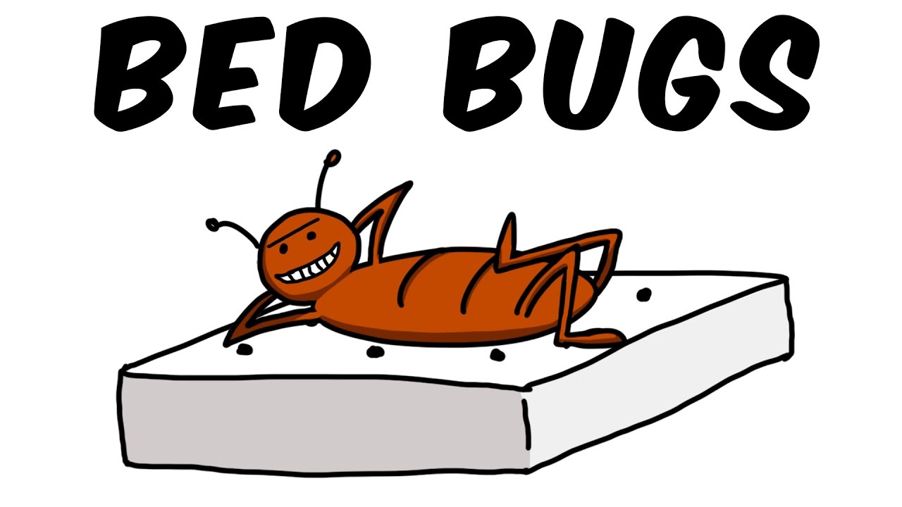 bed bug protocol